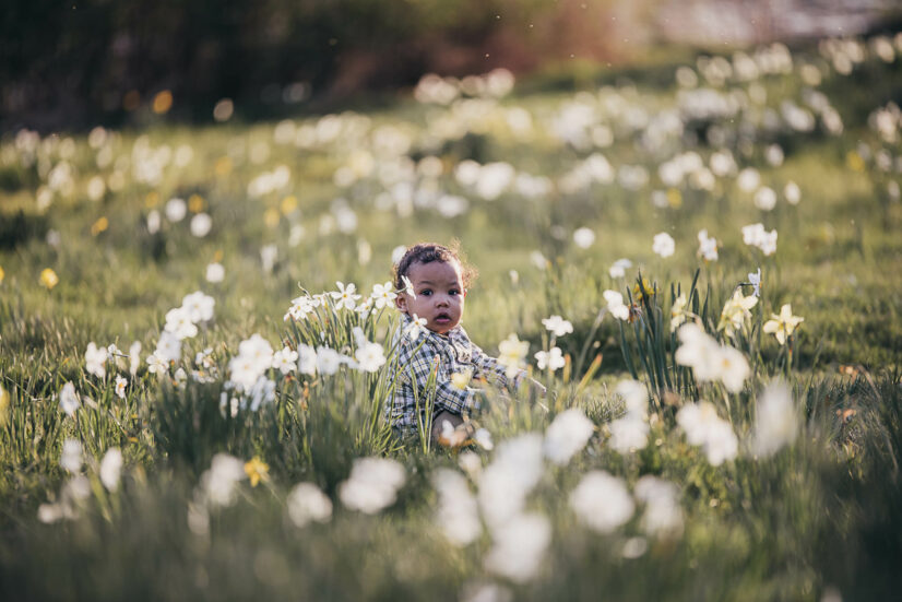 little boy in plaid shirt sitting in a field of white flowers Cleveland Clinic Pediatrics 