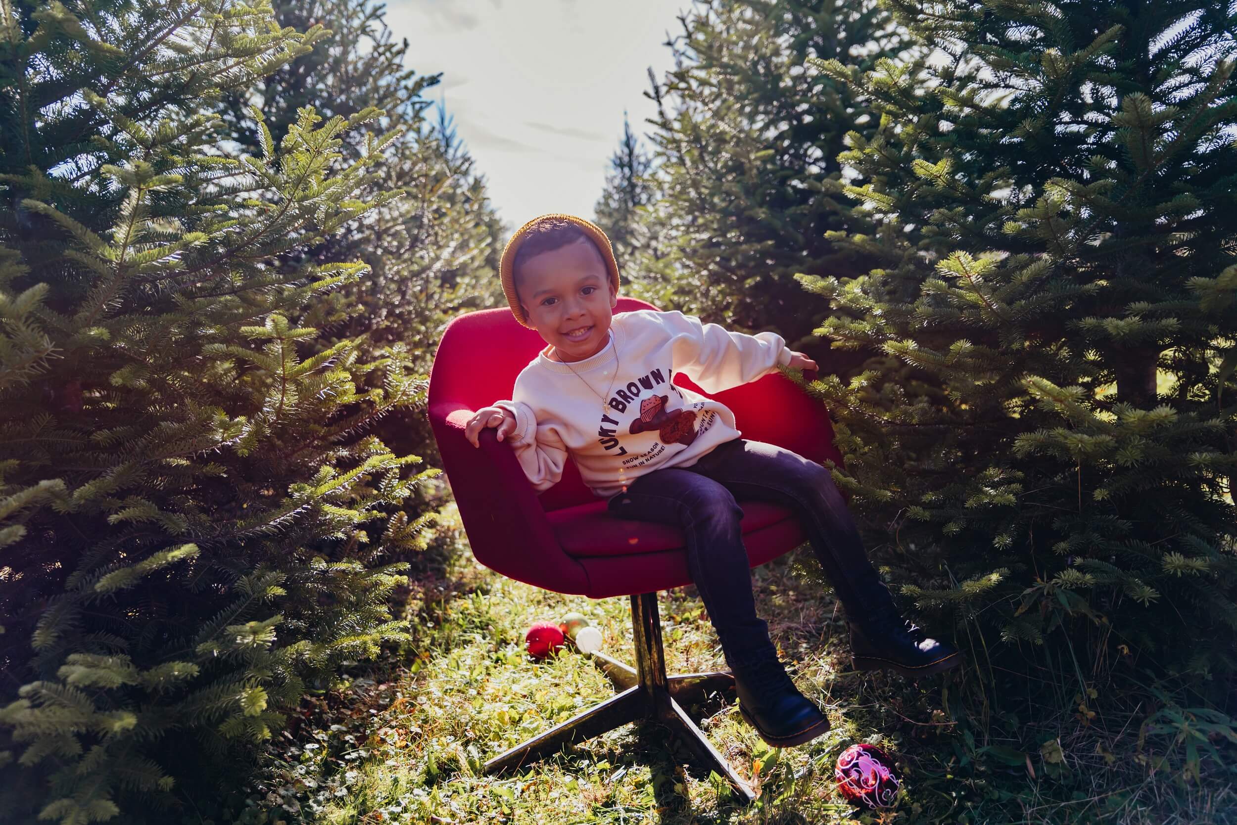 boy sitting in a chair at Christmas tree farm Cleveland Museum of Natural History