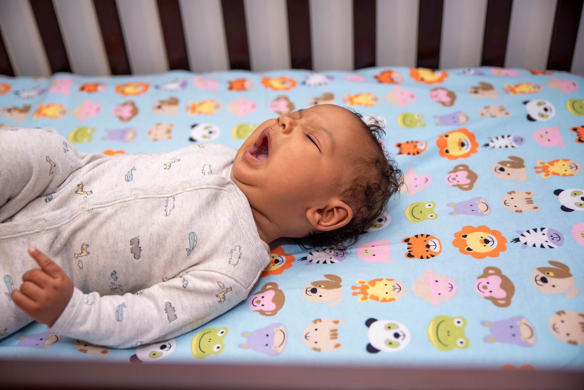 baby lying in crib on animal print sheet Paisley Monkey