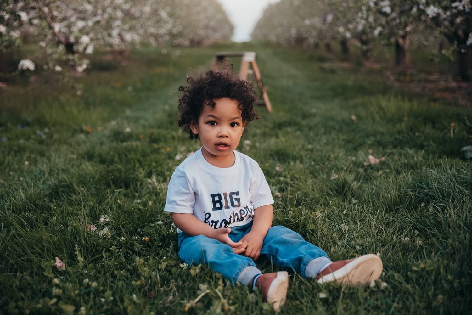 toddler sitting on ground looking at camera with a big brother shirt for arrowhead orchard with cleveland family photographer