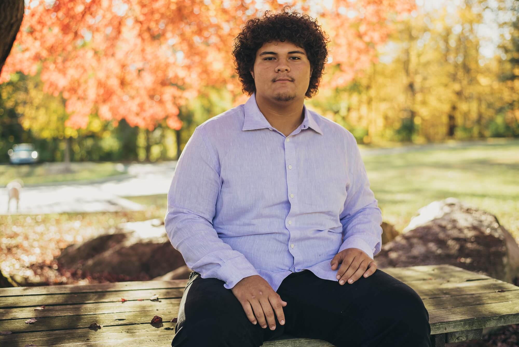 high school senior boy sitting in park bench with a tree behind it with fall colors for Acres of Fun Wooster